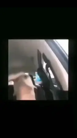 credits sa intro