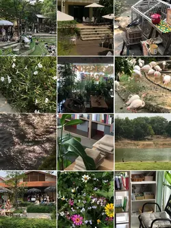 12 photos 