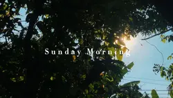 cinematic goldenhour