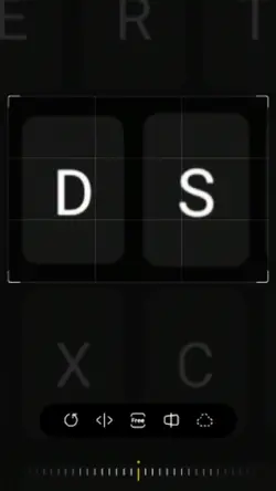 inisial D-S