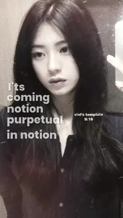 notion 