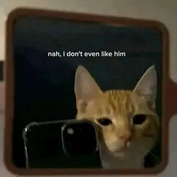 i don't like him