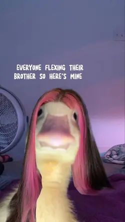 Brother? 
