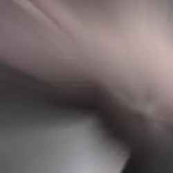 カップル