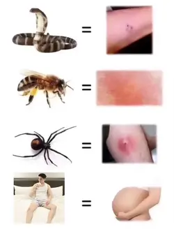 MẪU 1 ẢNH 