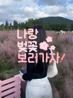 나랑 벚꽃 보러가자!