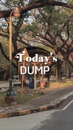 Today’s Dump