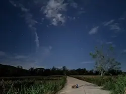 anyvideo
