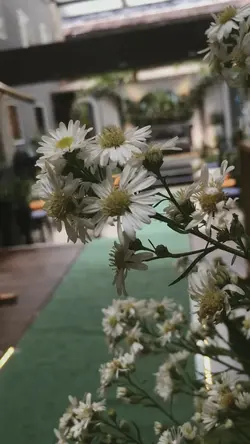 Mini vlog wedding