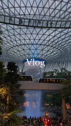 Vlog