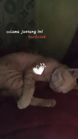 versi 9:16