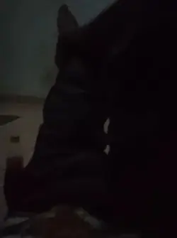 frank brdua sm cwe