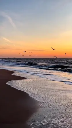 pantai story