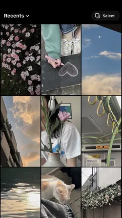 9 pics/videos