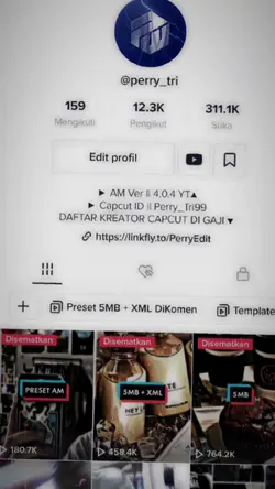 Versi Tiktok