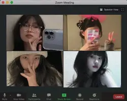 Mẫu zoom meeting