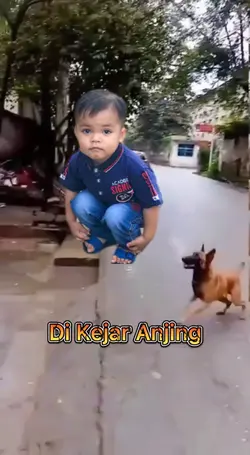 PRANK KEJAR ANJING