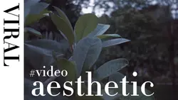 aesthetic