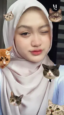 stiker kucing