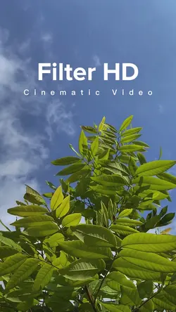 Cinematic Filter HD
