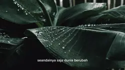 Ku ingin kembali