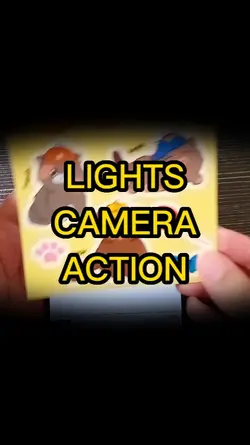 light camera action
