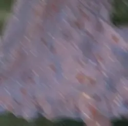 검토가 안풀려서 대신 올리는 박자편집