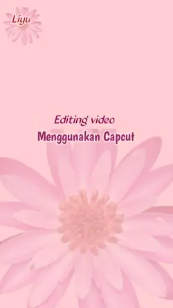 Video efek