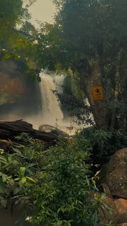 Mood tone forest