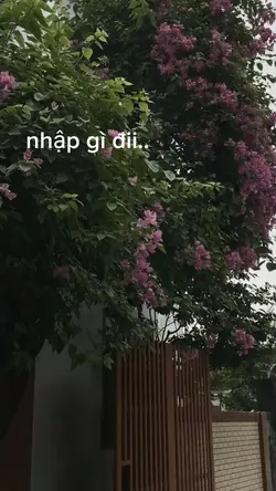 thay đc chữ nhaa