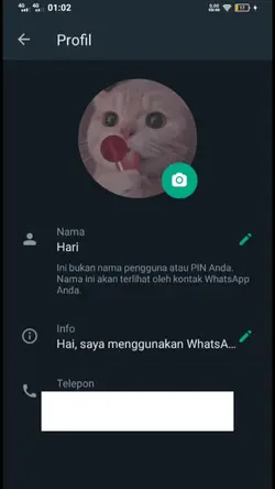 ganti profil mu 
