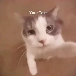 Palitan nyu text 