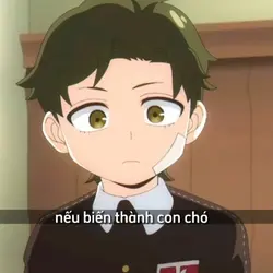 nếu biến thành con 
