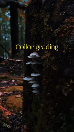 warna aesthetic