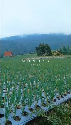 lagu jepang