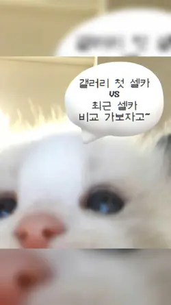 갤러리 첫 셀카 VS 최근 셀카 비교