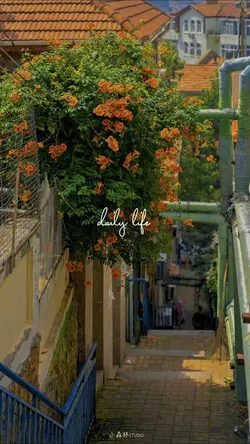 ảnh+màu phong cảnh