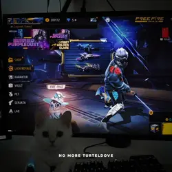 photo pc gaming 