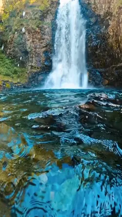 video cinematic