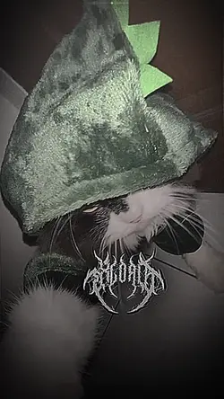 BrudakMeow YgKomn