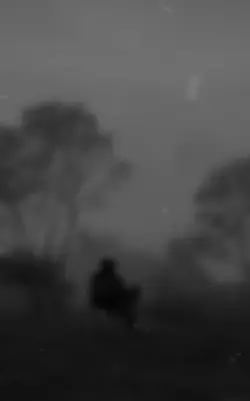 ដៃគូរបង់ប្រាក់