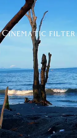 Filter X CapCut
