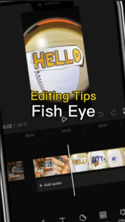 Fish Eye 