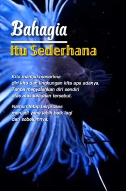 STORY WA