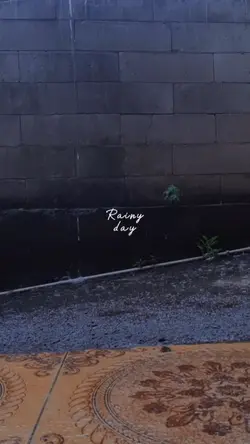 mini vlog