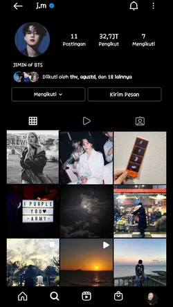 Feed instagram