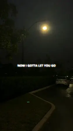 LIRIK GLASS ANIMALS