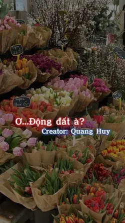 Ơ...Động đất à?