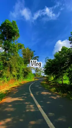 Vlog