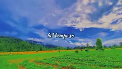 mose la*e cengi dmeu